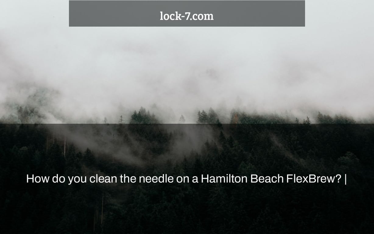 How do you clean the needle on a Hamilton Beach FlexBrew? |