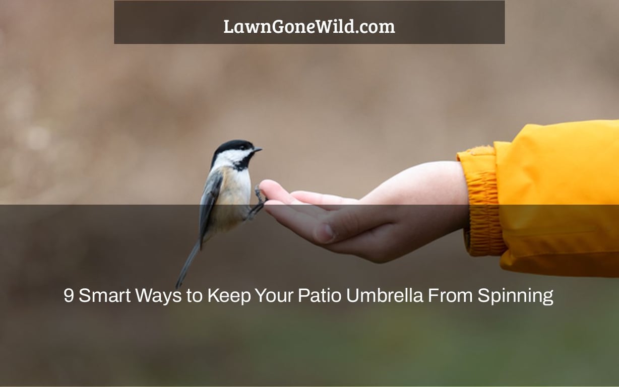 9 Smart Ways to Keep Your Patio Umbrella From Spinning Lawn Gone Wild