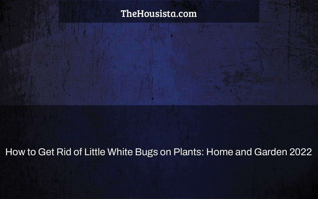 How to Get Rid of Little White Bugs on Plants: Home and Garden 2022