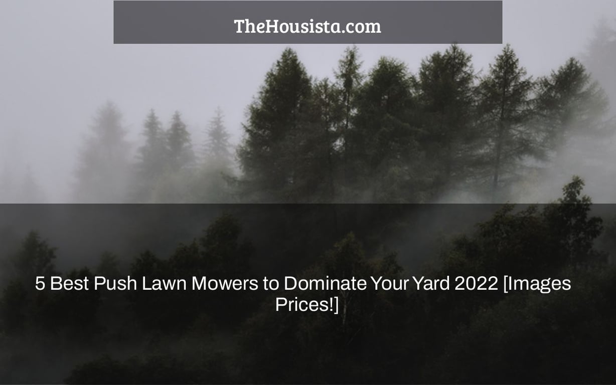 5 Best Push Lawn Mowers to Dominate Your Yard 2022 [Images + Prices!]
