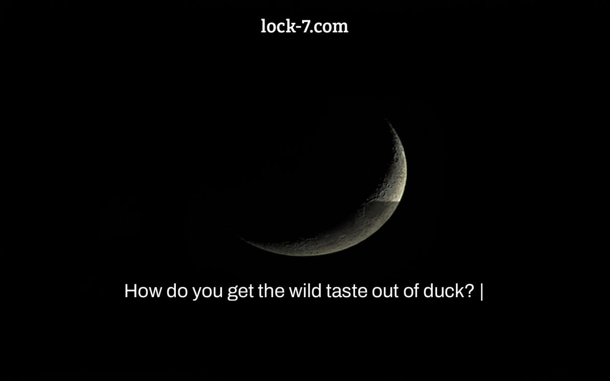 How do you get the wild taste out of duck? |