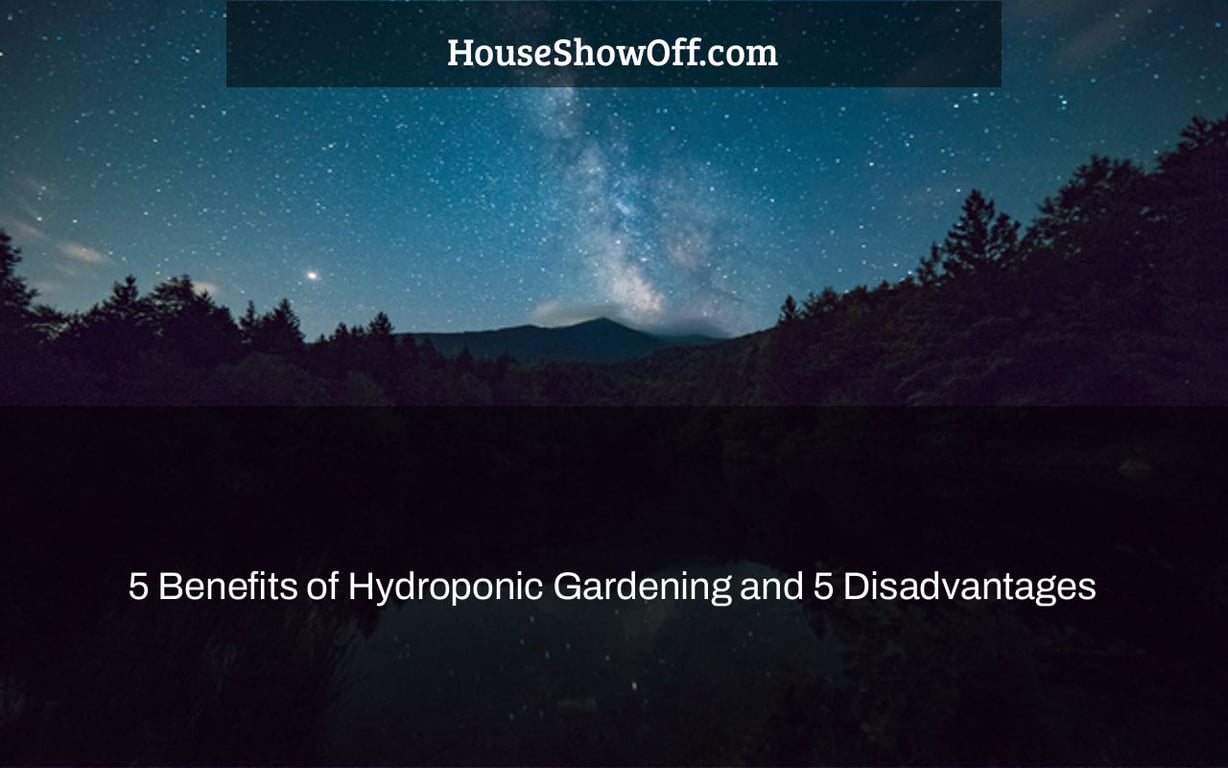 5 Benefits of Hydroponic Gardening and 5 Disadvantages