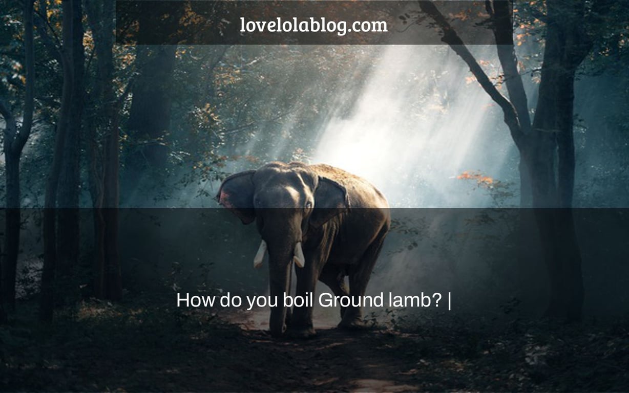 How do you boil Ground lamb? |