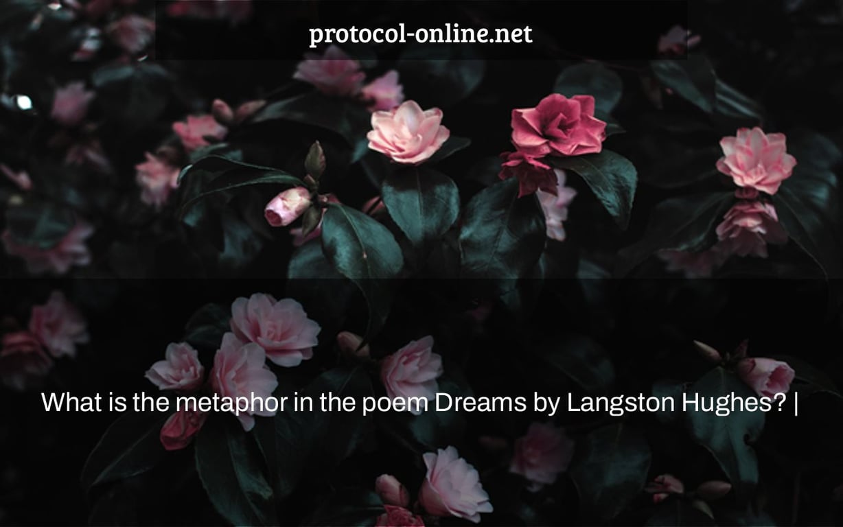 What is the metaphor in the poem Dreams by Langston Hughes? |
