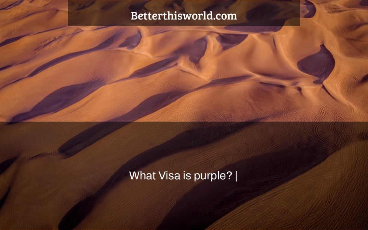 What Visa is purple? |