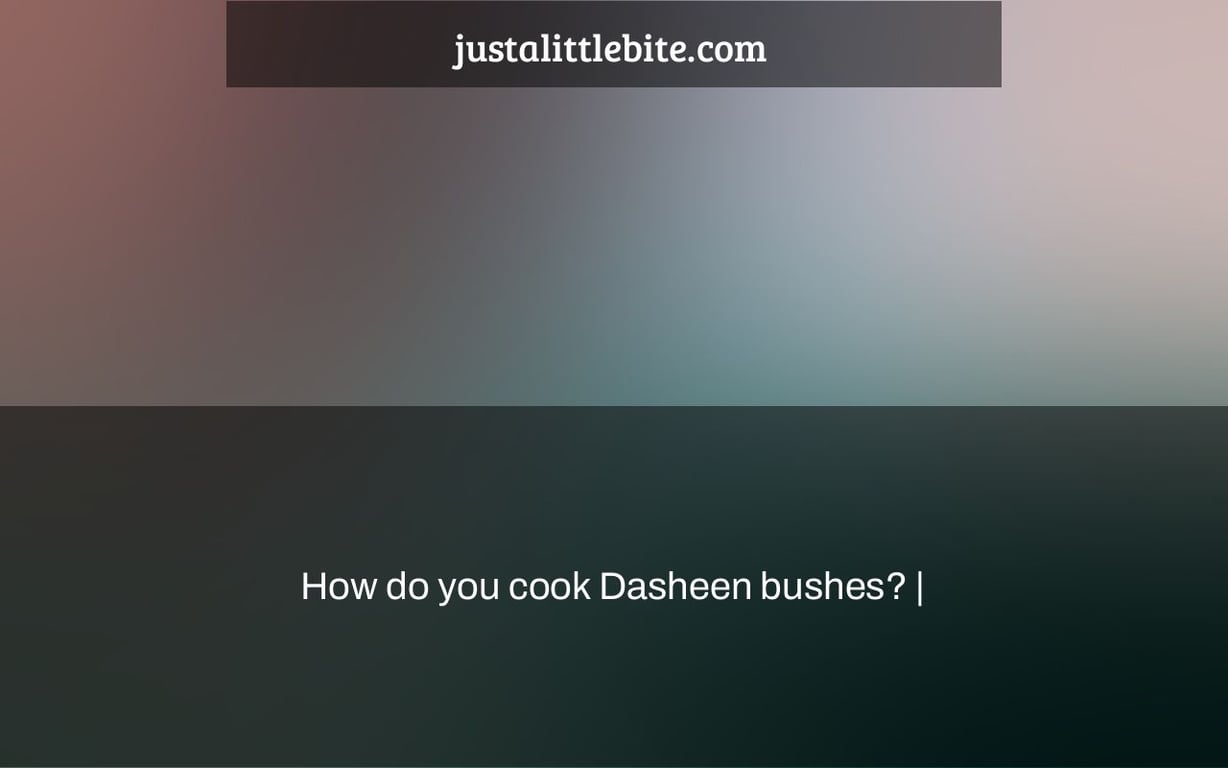 How do you cook Dasheen bushes? |