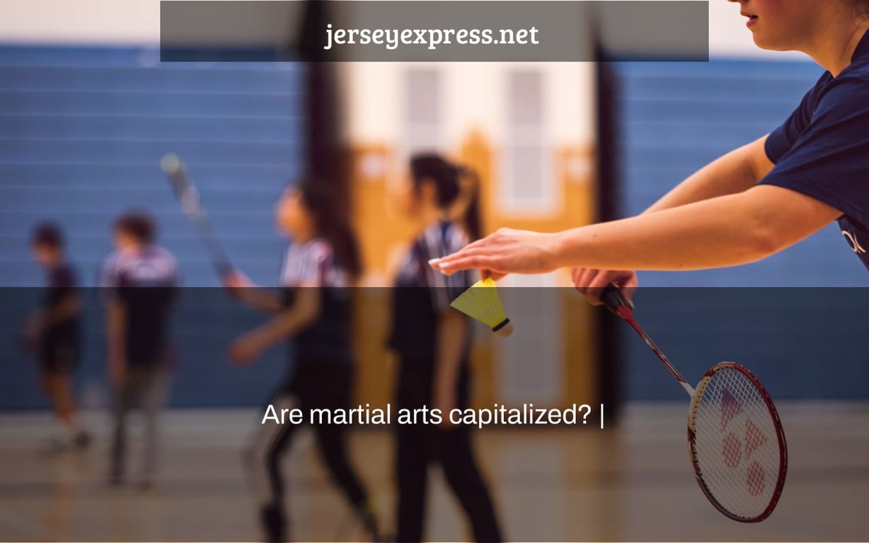 Are martial arts capitalized? |