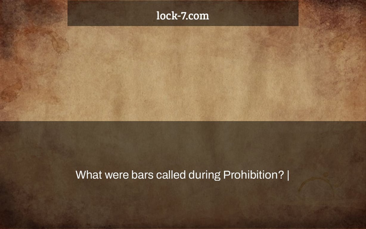 What were bars called during Prohibition? |