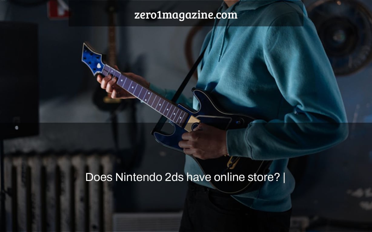 Does Nintendo 2ds have online store? |