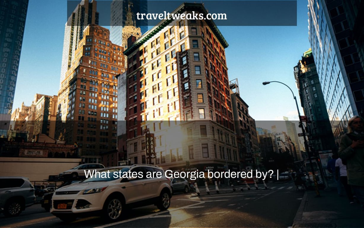 What states are Georgia bordered by? |