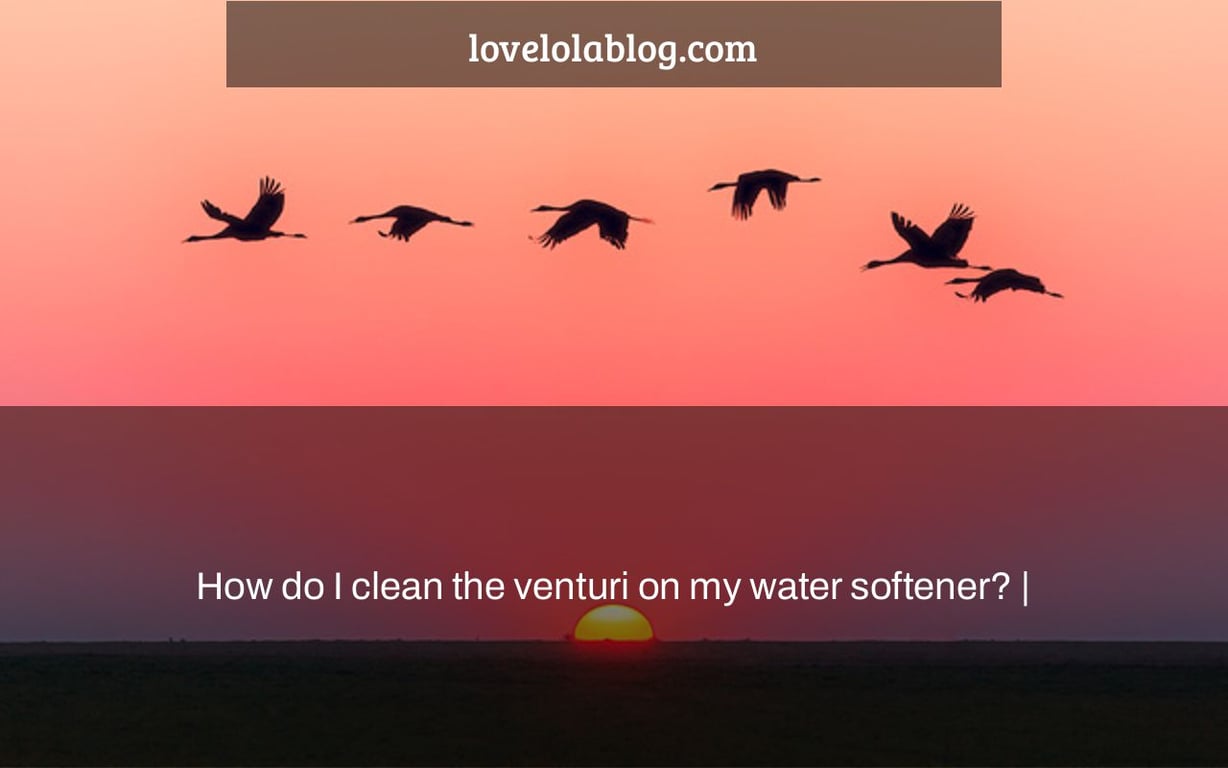 How do I clean the venturi on my water softener? |