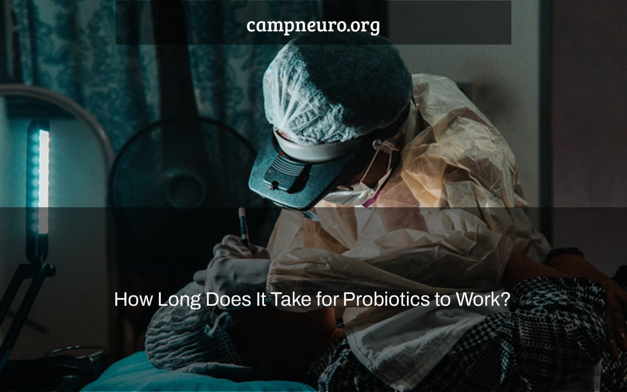 How Long Does It Take for Probiotics to Work? Camp Neuro