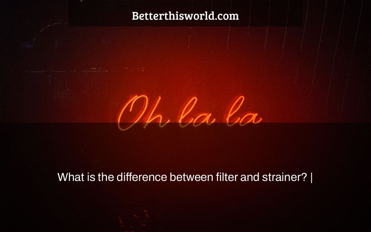 What is the difference between filter and strainer? |
