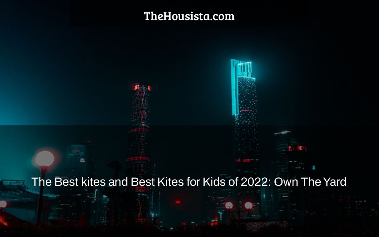 The Best kites and Best Kites for Kids of 2022: Own The Yard