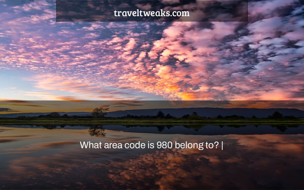 What area code is 980 belong to? |