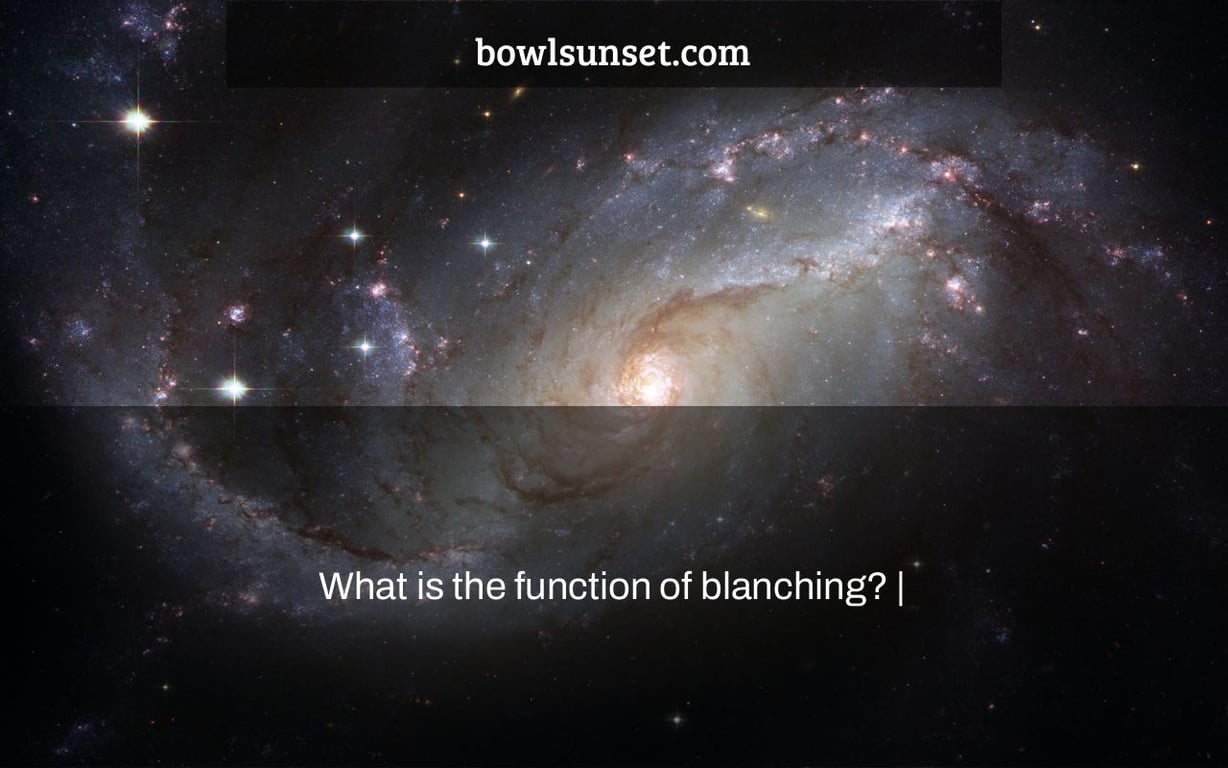 What is the function of blanching? |