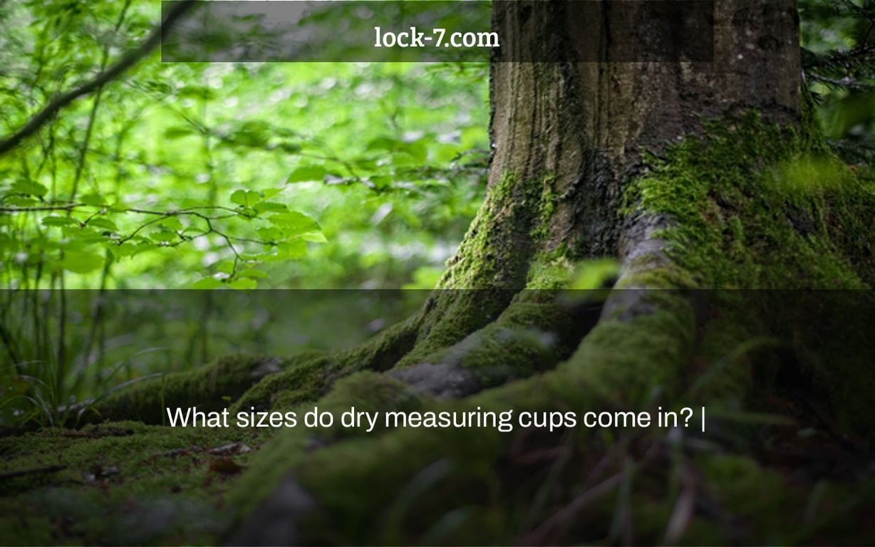 What sizes do dry measuring cups come in? |