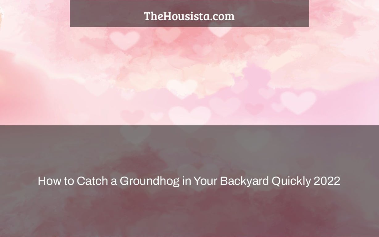 How to Catch a Groundhog in Your Backyard Quickly 2022