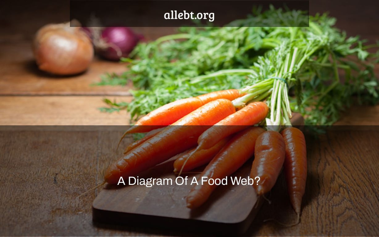 A Diagram Of A Food Web?