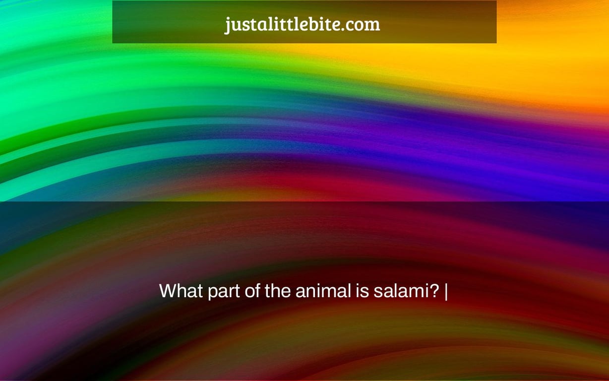 What part of the animal is salami? | - JustALittleBite