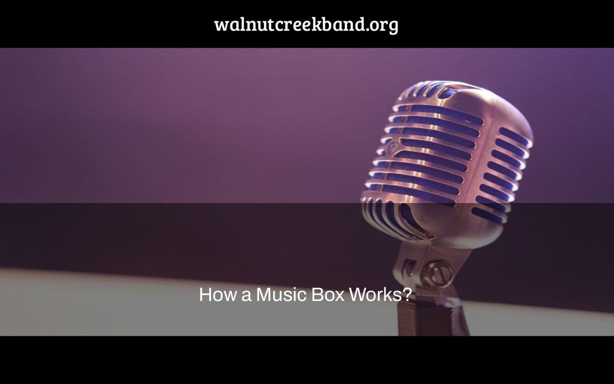 How a Music Box Works?