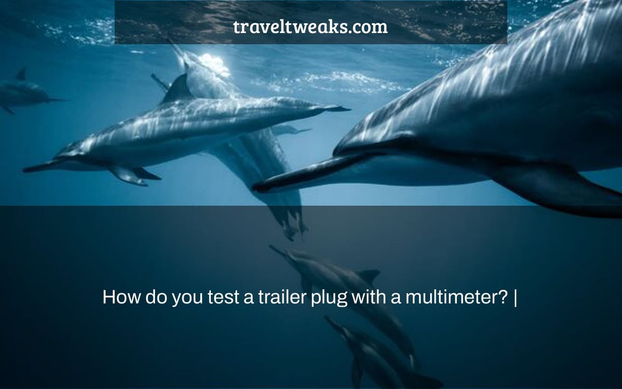How do you test a trailer plug with a multimeter? |
