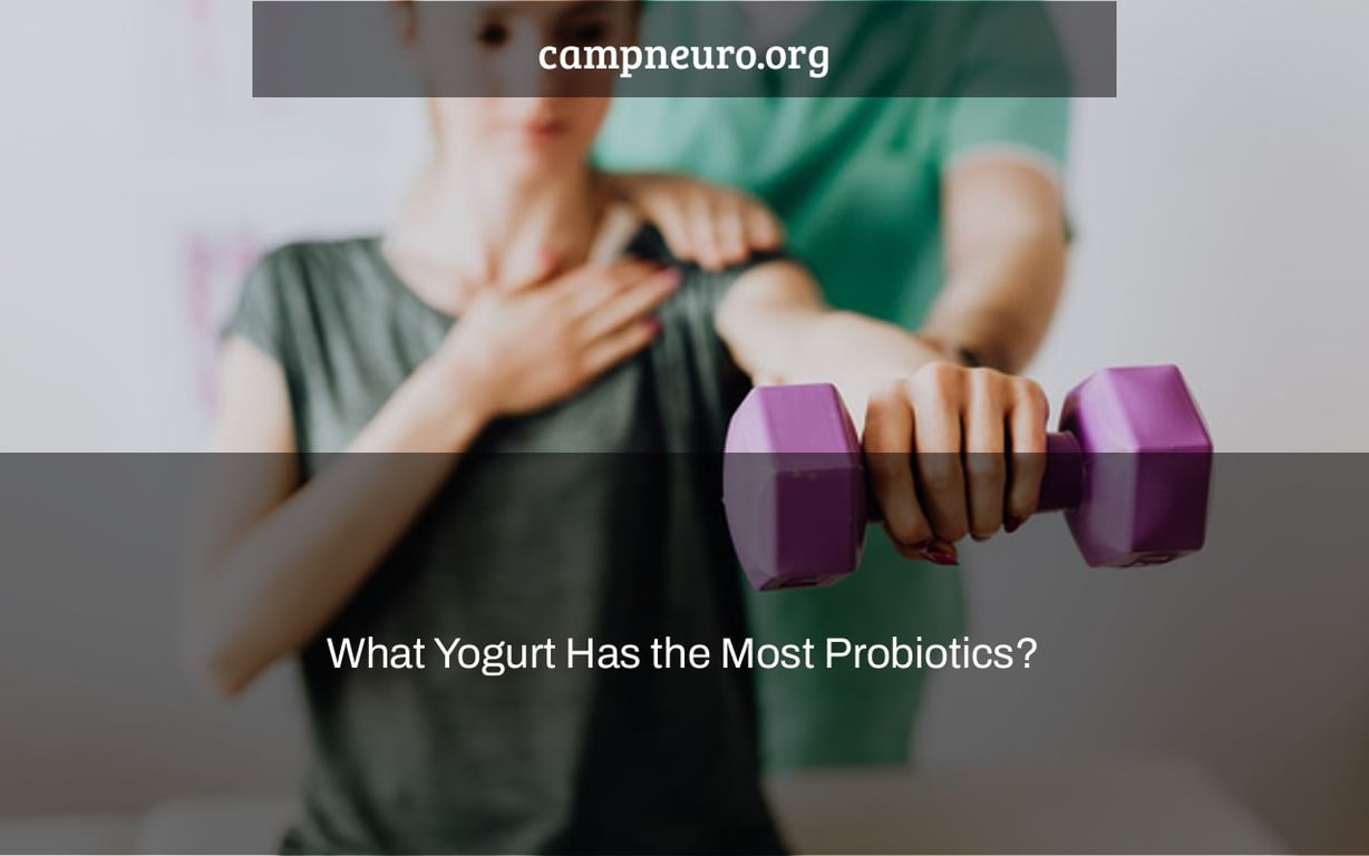 What Yogurt Has the Most Probiotics? Camp Neuro
