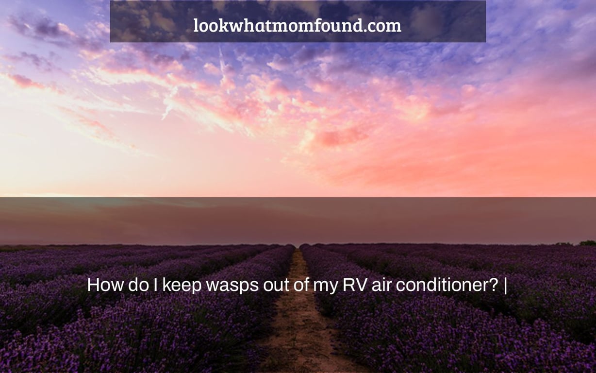 How do I keep wasps out of my RV air conditioner? |