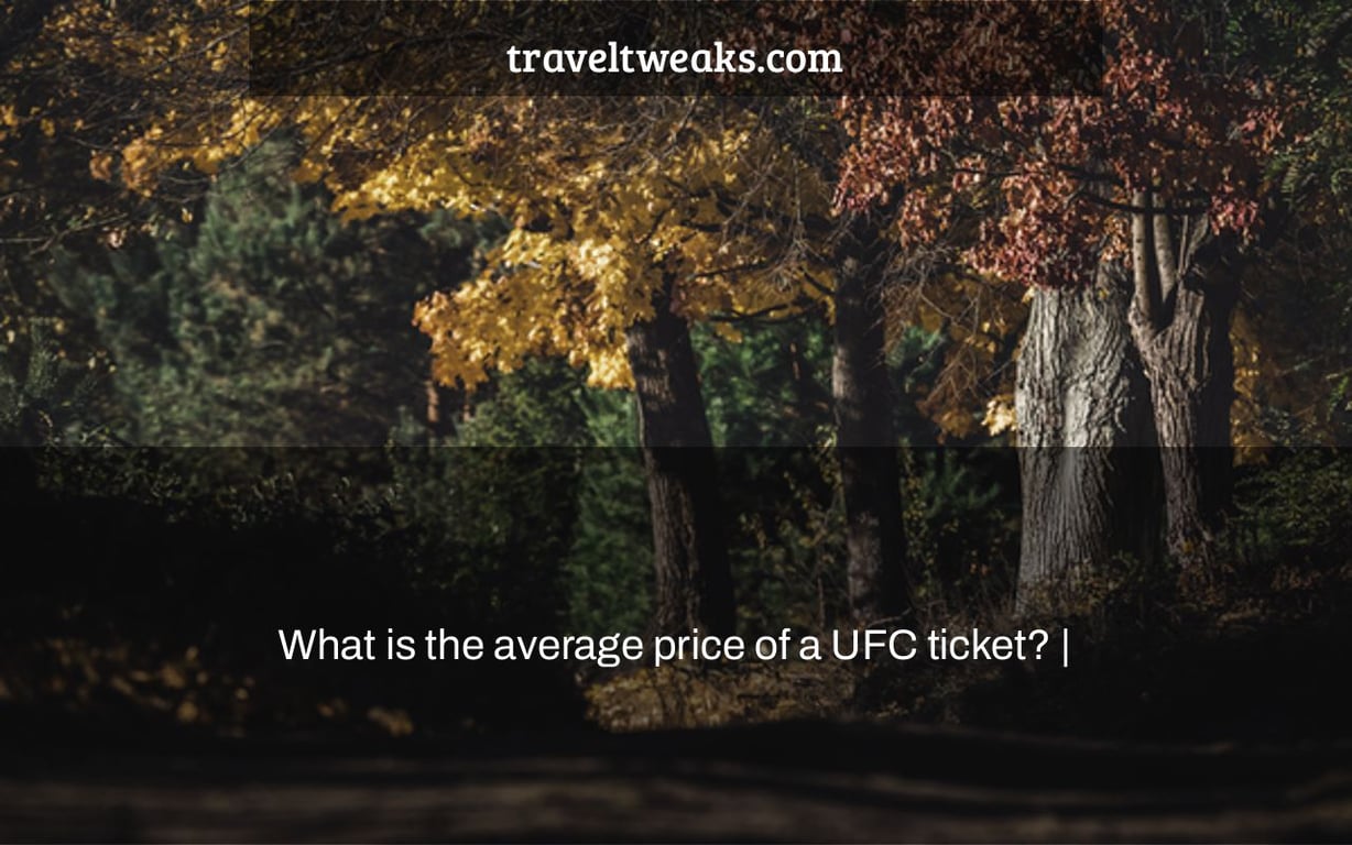 What is the average price of a UFC ticket? |