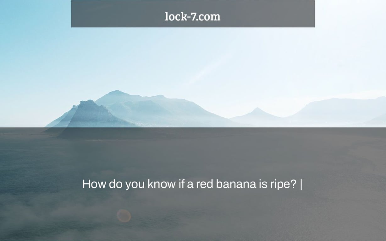 How do you know if a red banana is ripe? |