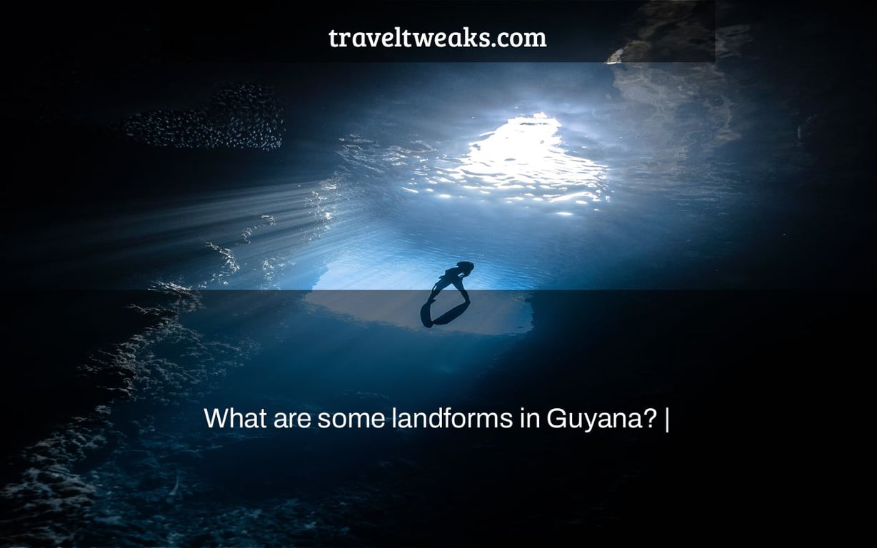 What are some landforms in Guyana? |