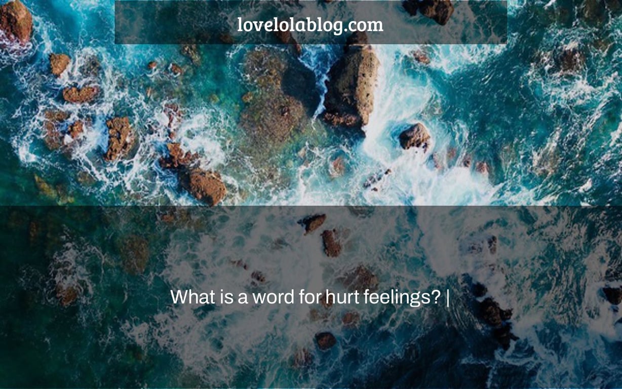 What is a word for hurt feelings? |