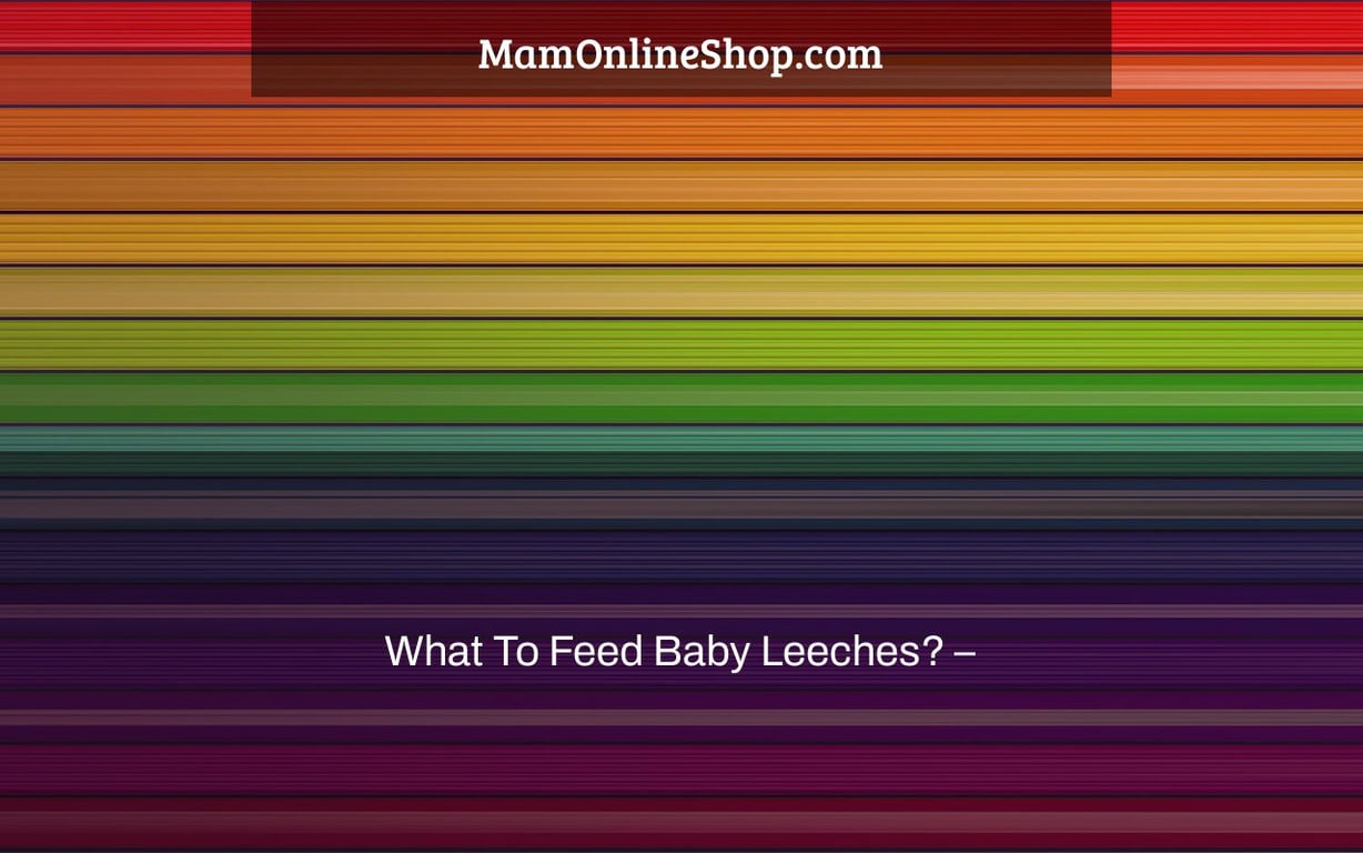 What To Feed Baby Leeches? –