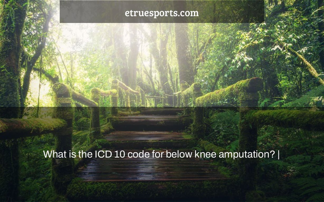 What is the ICD 10 code for below knee amputation? |