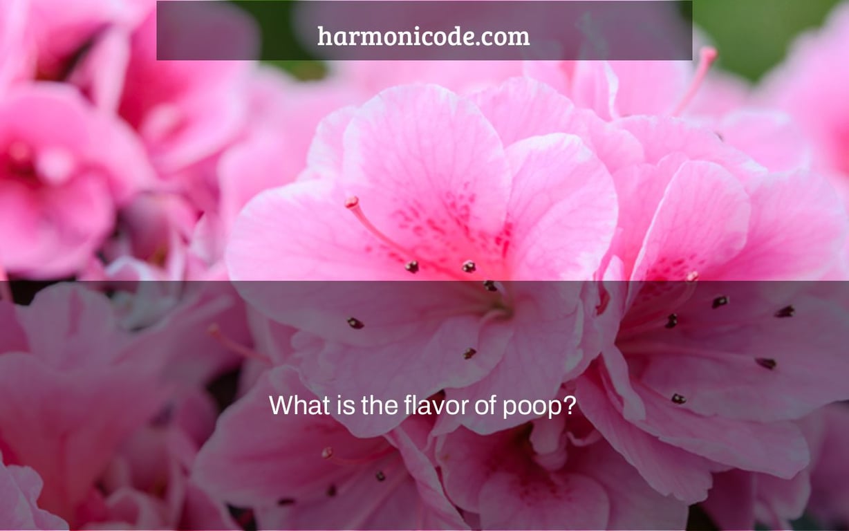 What is the flavor of poop?