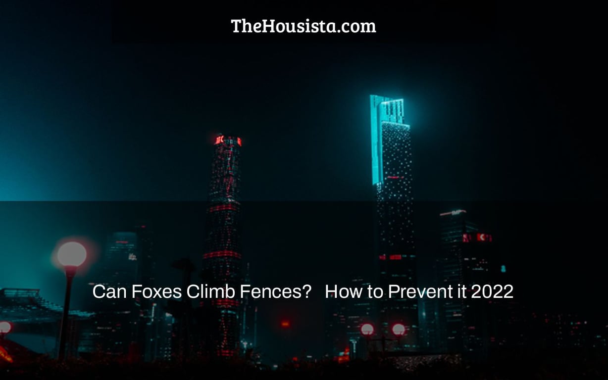 Can Foxes Climb Fences? + How to Prevent it 2022