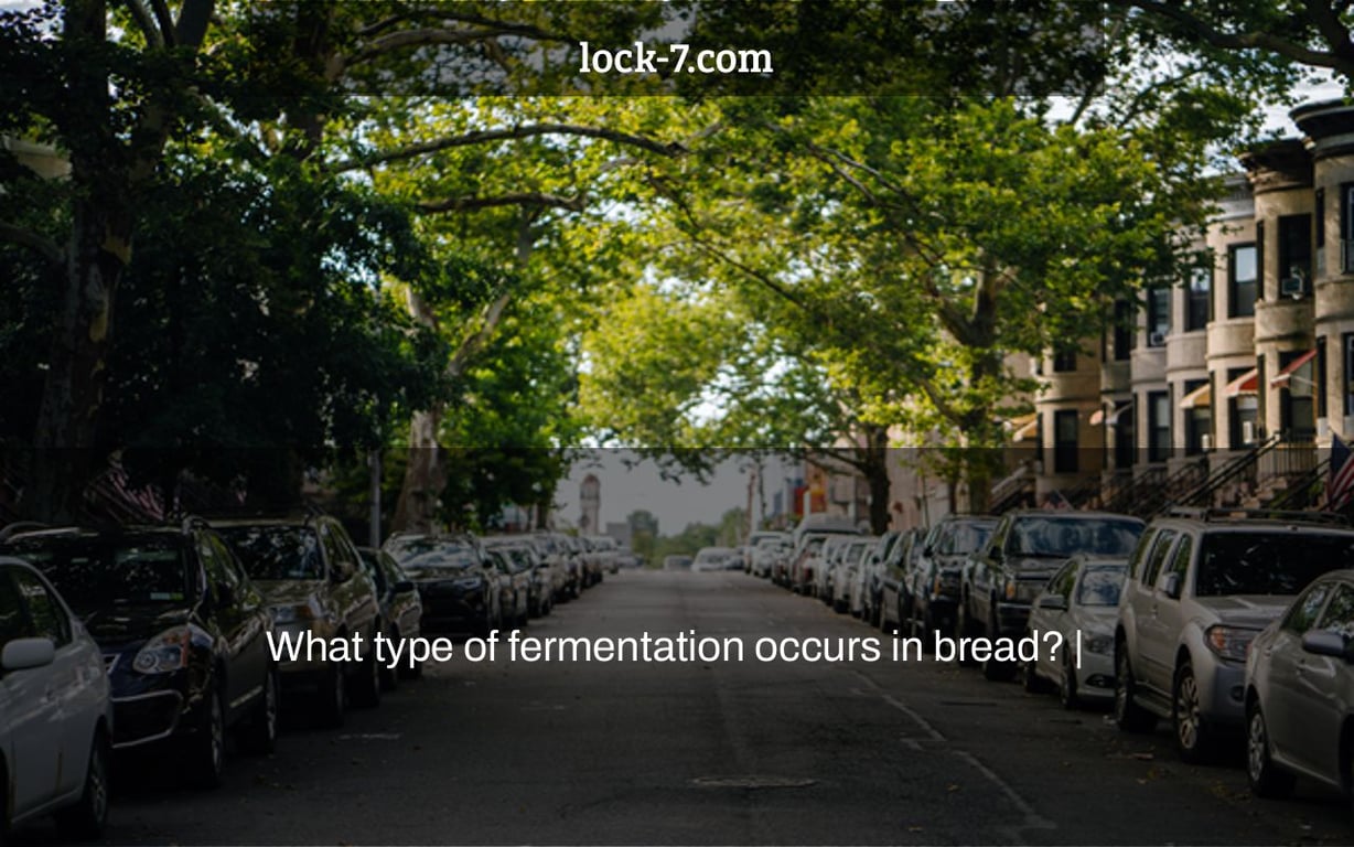 What type of fermentation occurs in bread? |