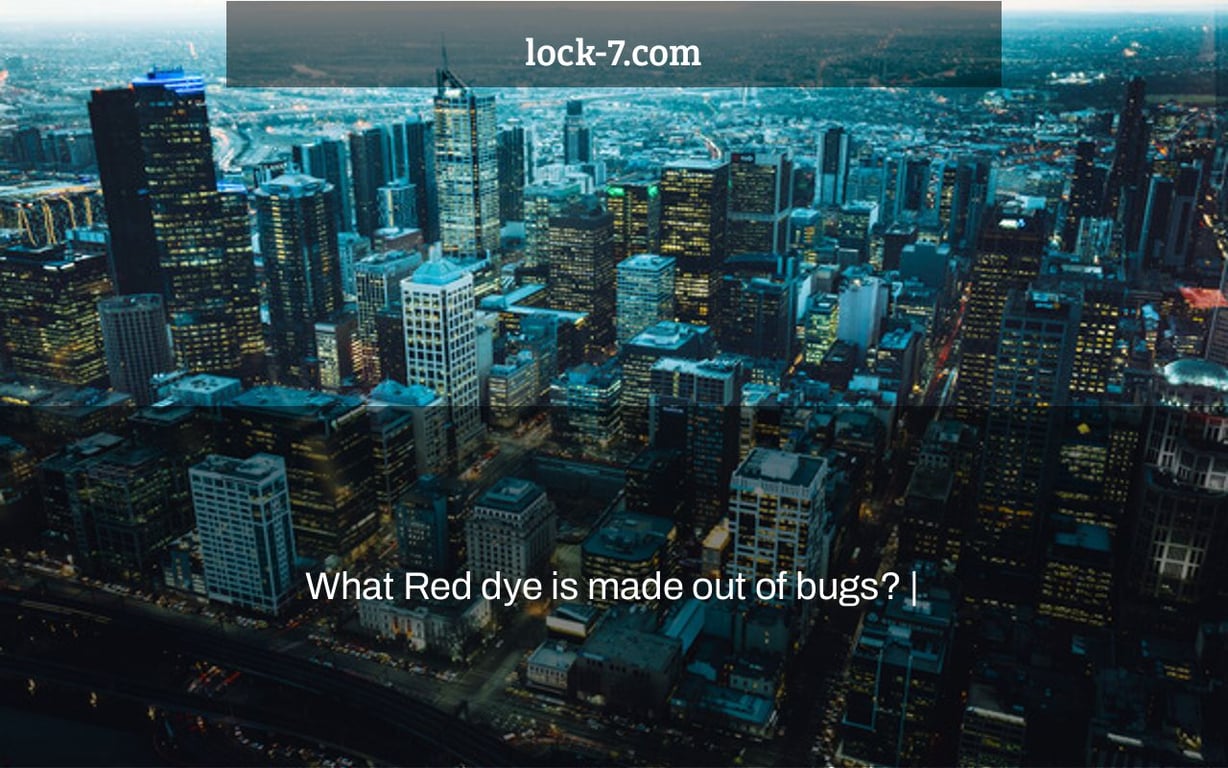 What Red dye is made out of bugs? Lock 7