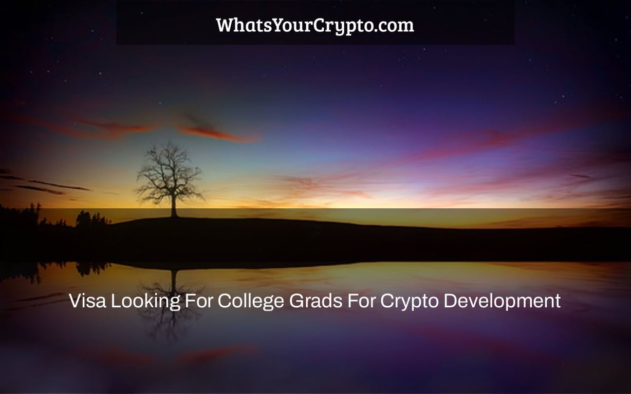 Visa Looking For College Grads For Crypto Development