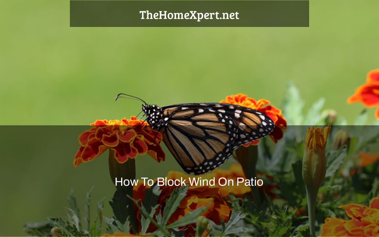 How To Block Wind On Patio The Home Expert