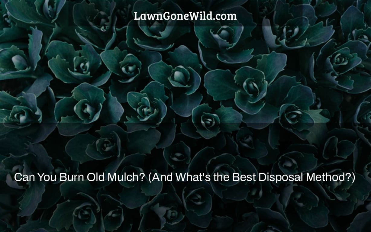 Can You Burn Old Mulch? (And What’s the Best Disposal Method?) Lawn Gone Wild