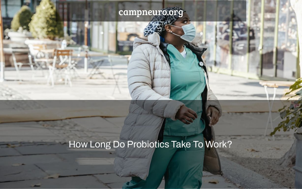 How Long Do Probiotics Take To Work? Camp Neuro