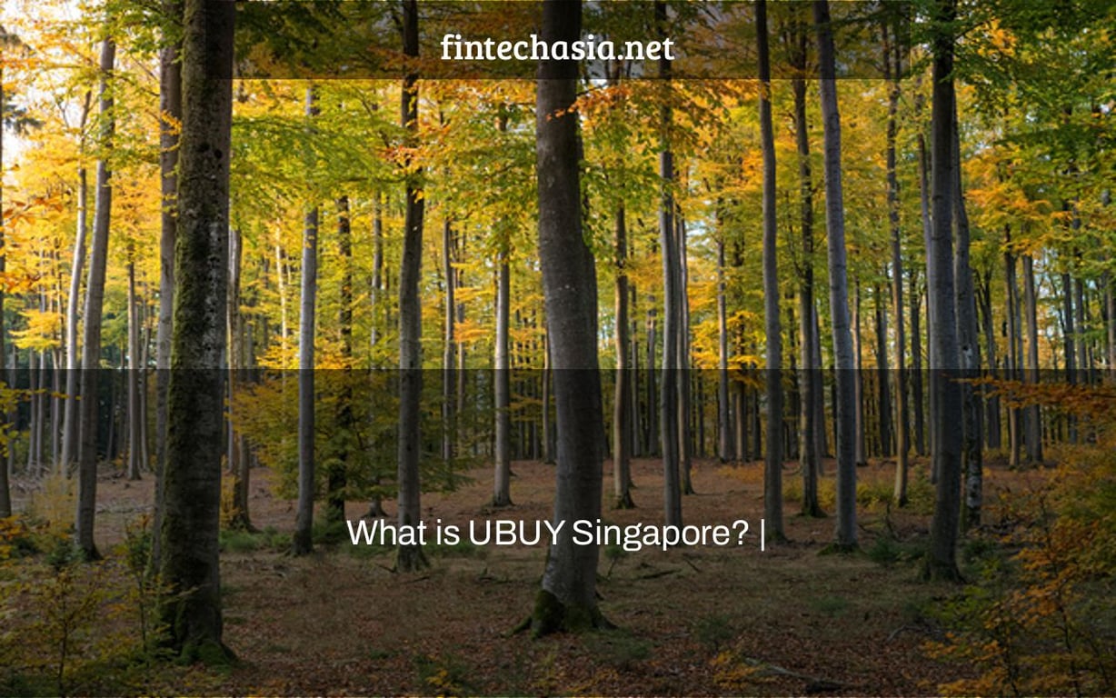 What is UBUY Singapore? |