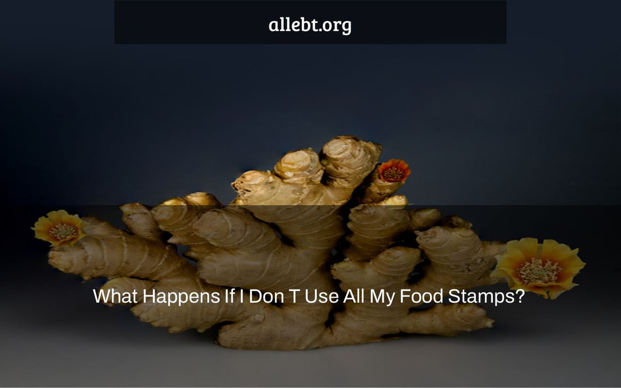 What Happens If I Don T Use All My Food Stamps?