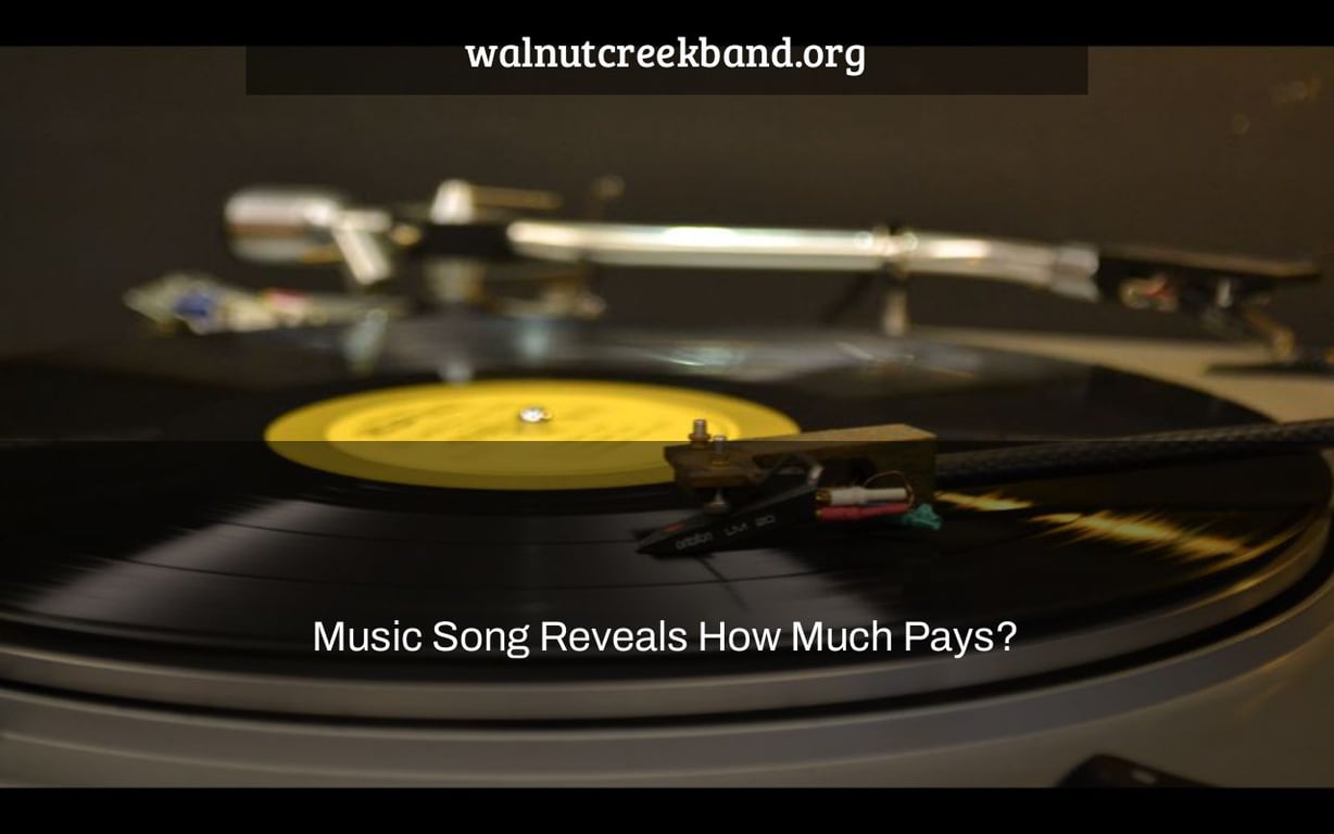 Music Song Reveals How Much Pays?