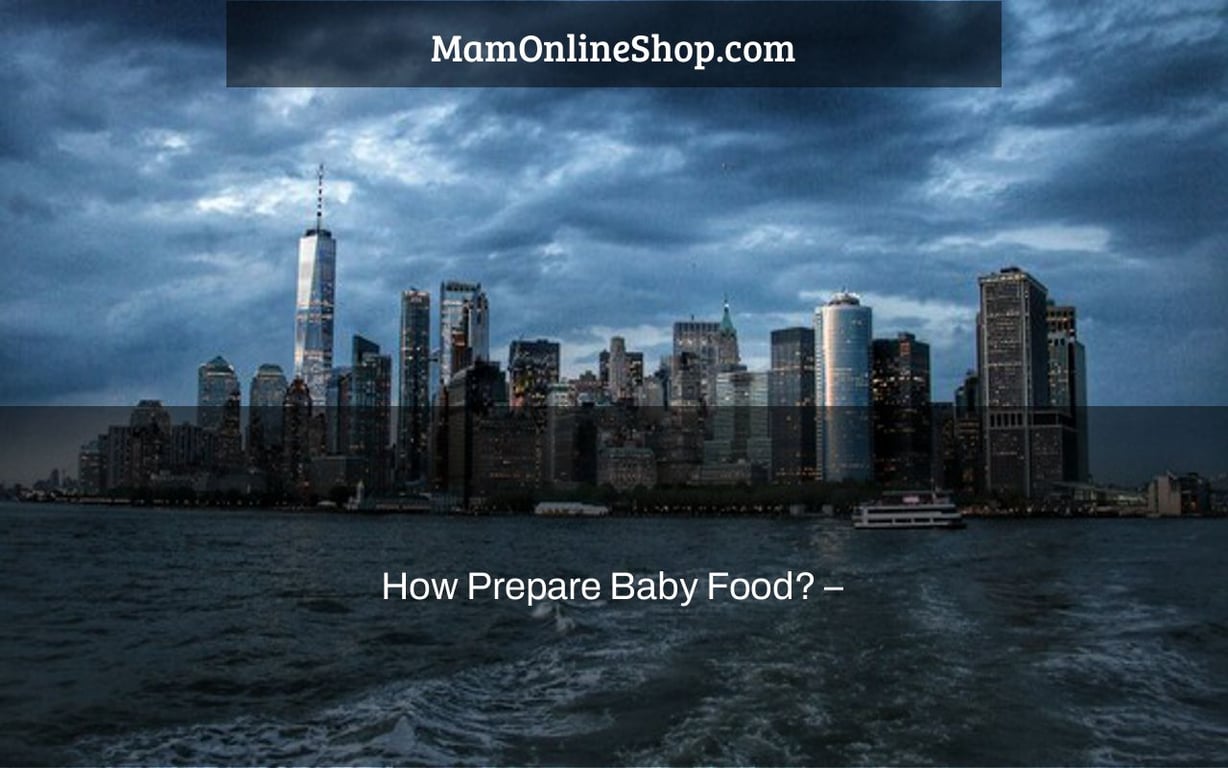 How Prepare Baby Food? –