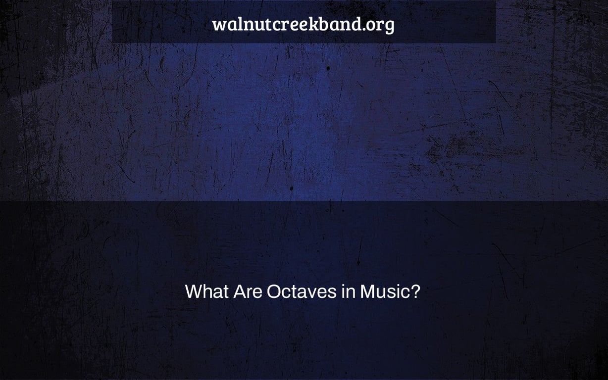 What Are Octaves in Music?