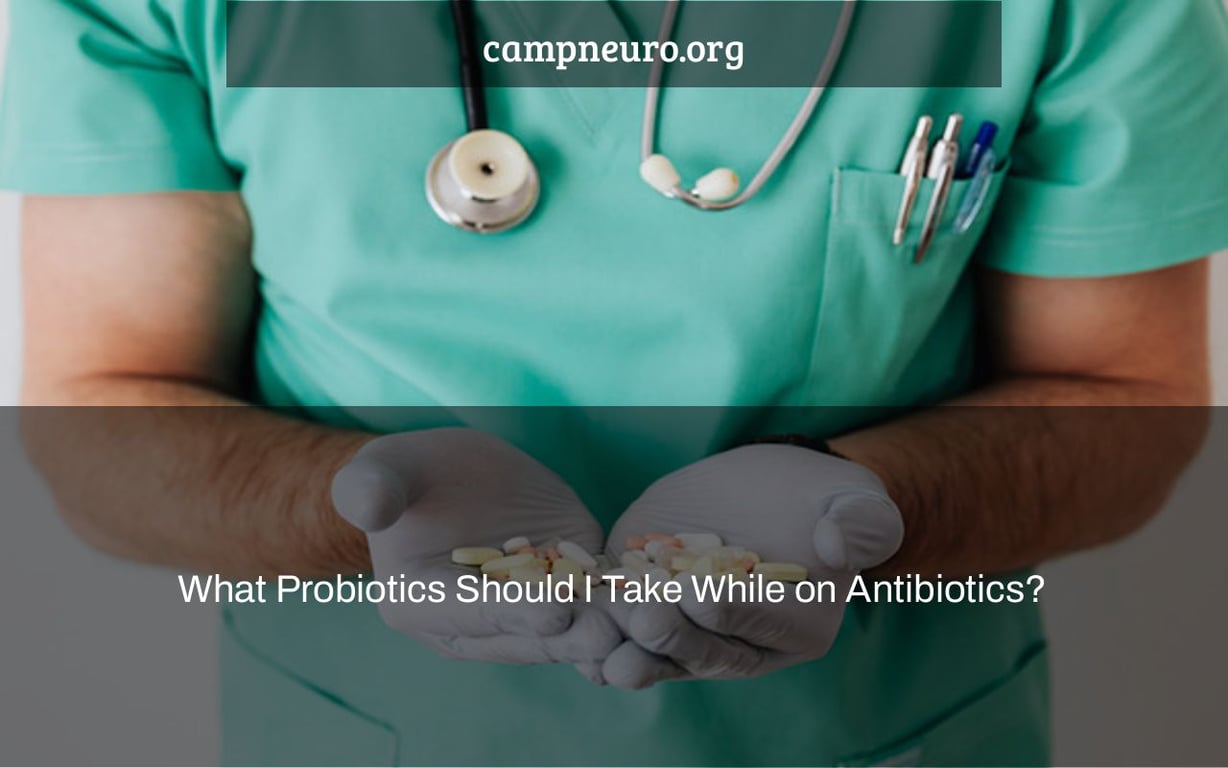 What Probiotics Should I Take While on Antibiotics?