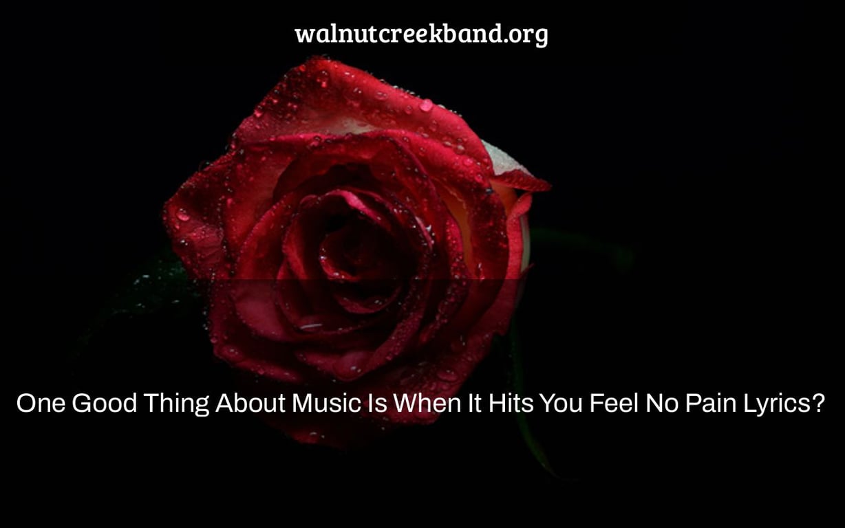 One Good Thing About Music Is When It Hits You Feel No Pain Lyrics?