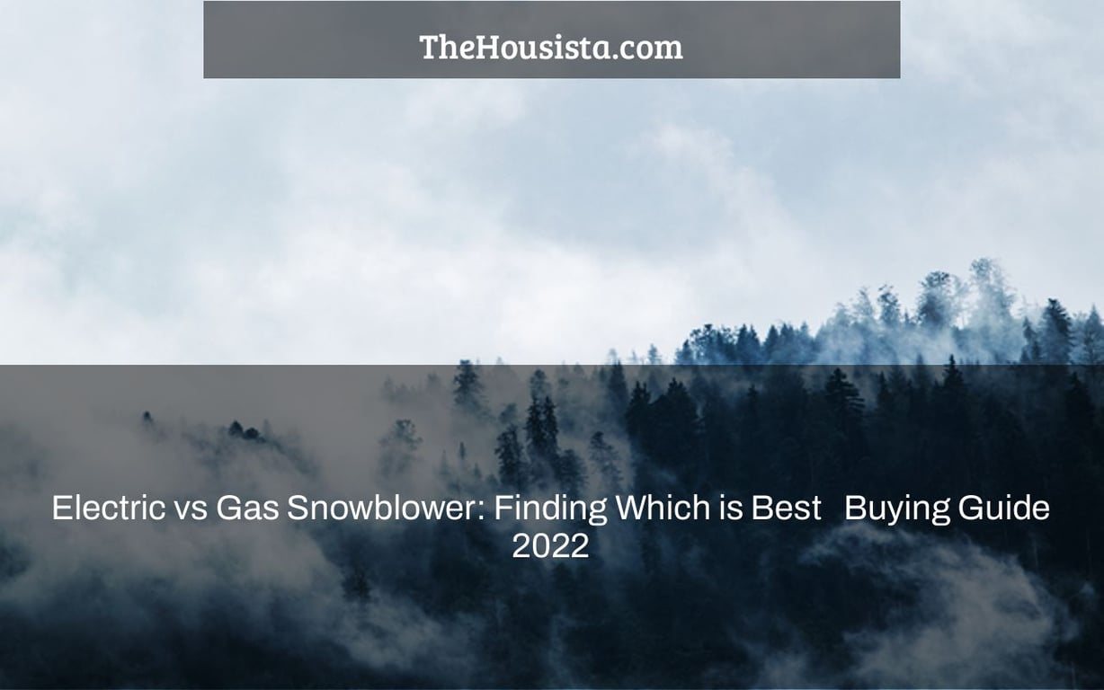 Electric vs Gas Snowblower: Finding Which is Best + Buying Guide 2022